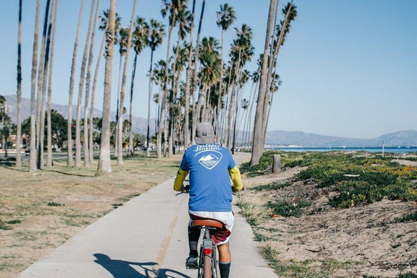 A person riding a bicycle on a path lined with palm trees. 2