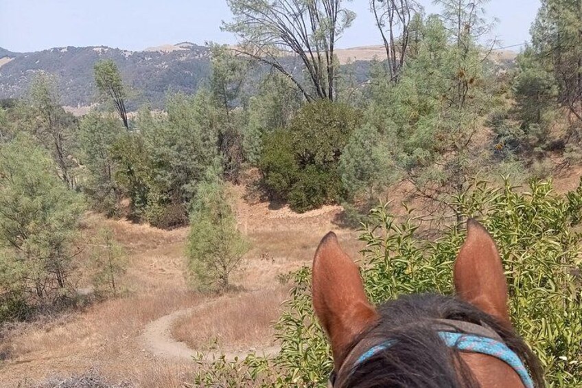 Sonoma Horseback-Riding Tour 3