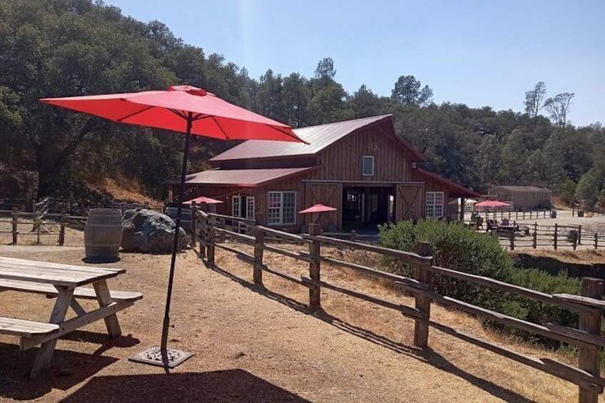 Sonoma Horseback-Riding Tour 2