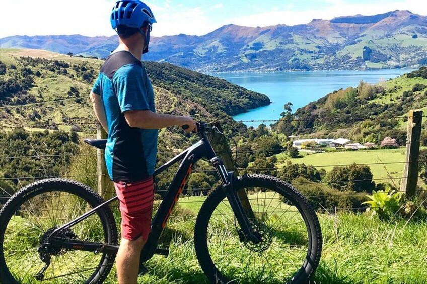 Lava Loop- Guided electric mountain bike tour in Akaroa 5
