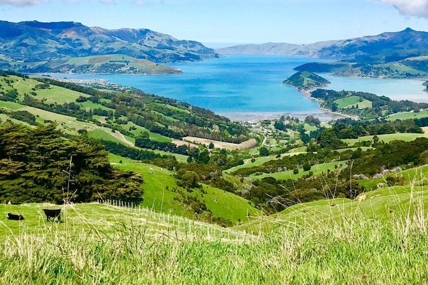 Stunning banks peninsula 3