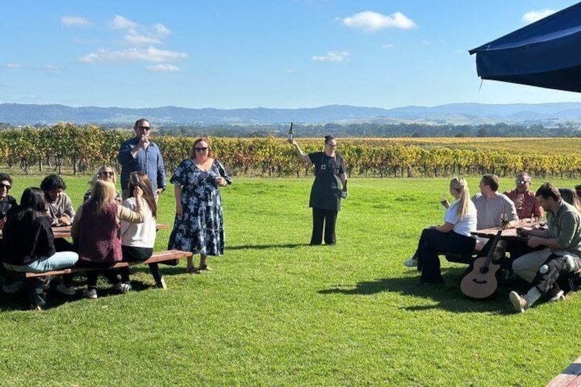 Melbourne: Yarra Valley Wine Tour with Gin, Cider & Chocolate 1