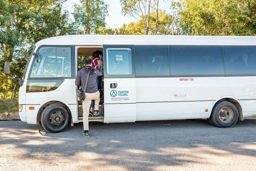 Un autobús blanco con los rótulos 'TEEPER TOURS' y 'PARADA DE EMERGENCIA', estacionado en una carretera con árboles al fondo. 3