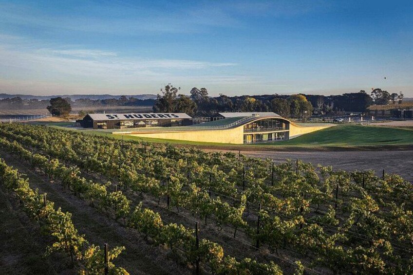 From Melbourne: Yarra Valley Wine, Gin, Cider & Chocolate tour 4