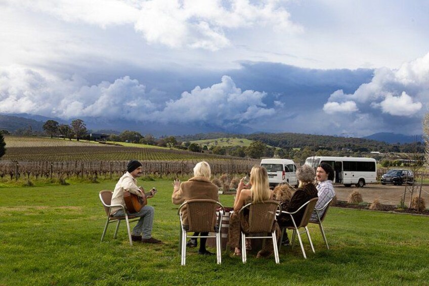 From Melbourne: Yarra Valley Wine, Gin, Cider & Chocolate tour 2