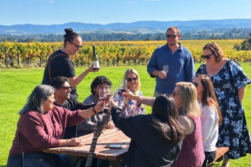 From Melbourne: Yarra Valley Wine, Gin, Cider & Chocolate tour 2
