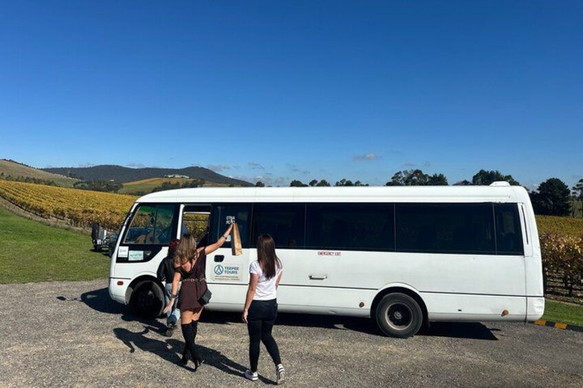 Yarra Valley Wine Tour w Exclusive Gin, Cider & Chocolate Tasting 3