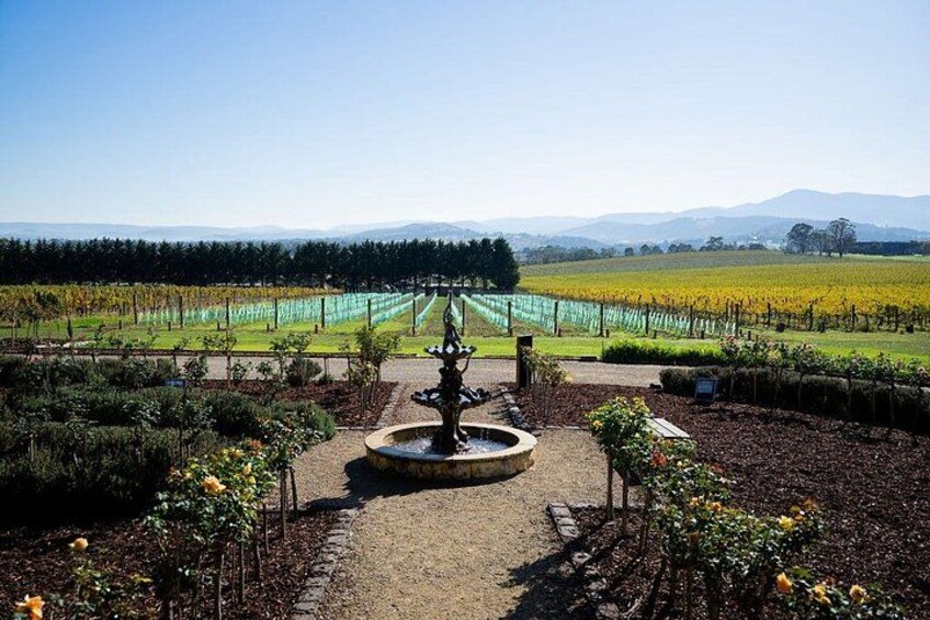 From Melbourne: Yarra Valley Wine, Gin, Cider & Chocolate tour 3