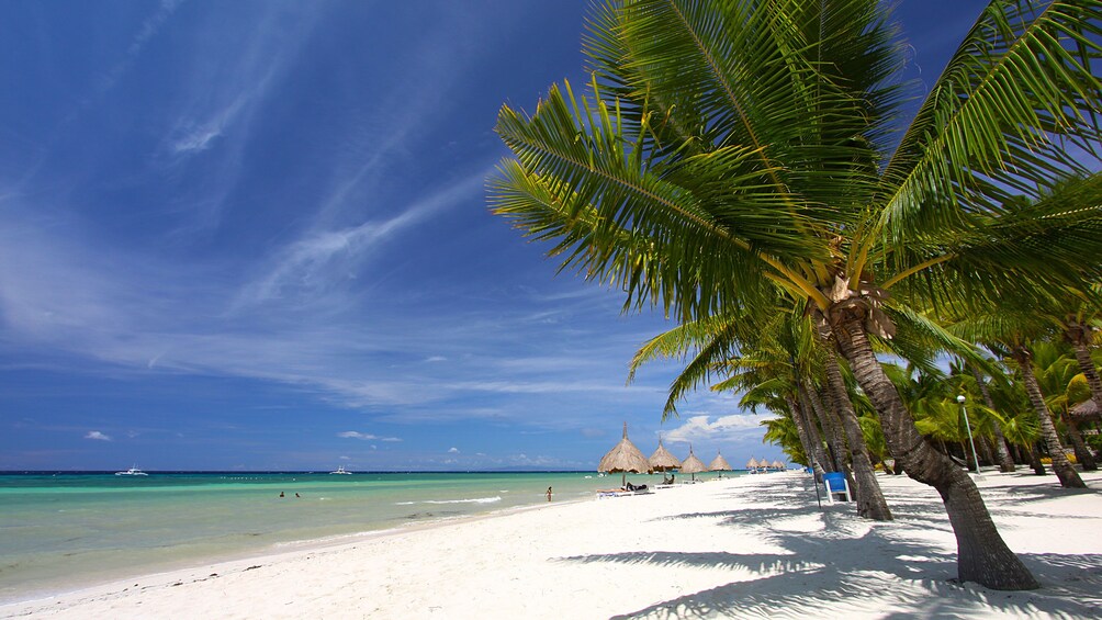 A beach with white sand, clear turquoise water, and palm trees. 2