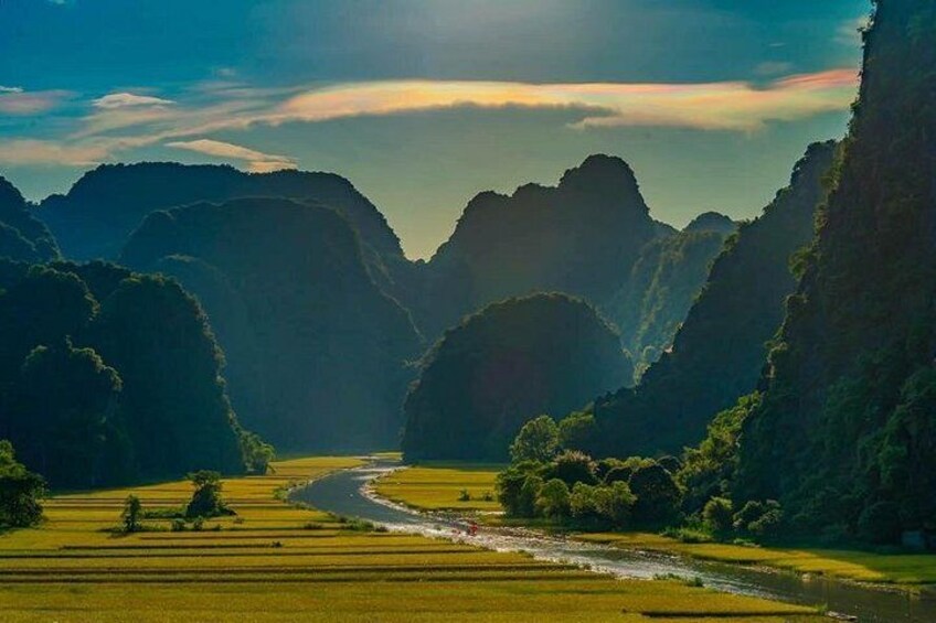 Tam Coc rice field 3