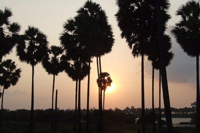Explore Jaffna Tour (3 Days) 3