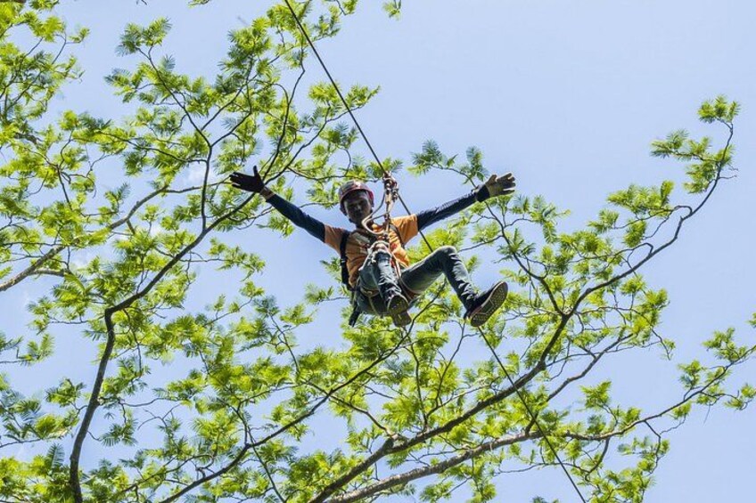 ZONE A PACKAGE Zipline Adventure 3