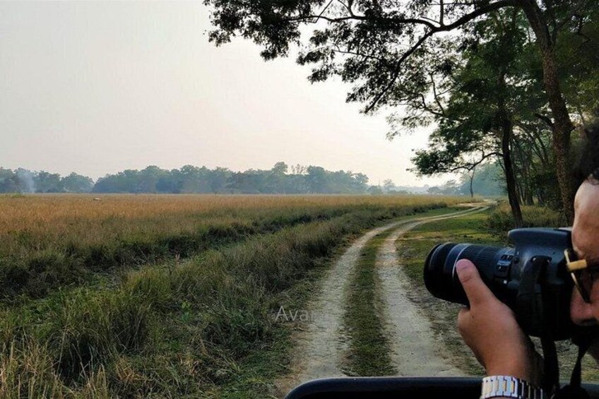 Tour of Pobitora Wildlife Sanctuary from Guwahati with Safari, Lunch and Guide 1