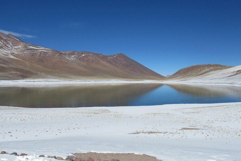Small-Group Tour Altiplanic Lagoons Red Stones & Flamingo Reserve 3