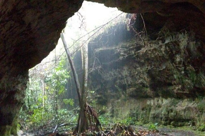 Caves in the Jungle 3