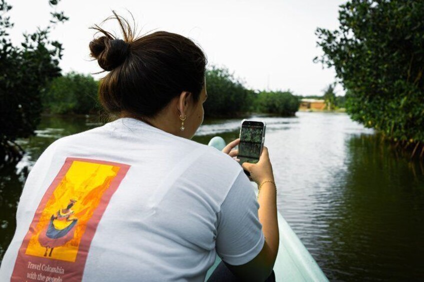 Explore La Boquilla’s Mangrove Tunnels with Local Fishermen 5