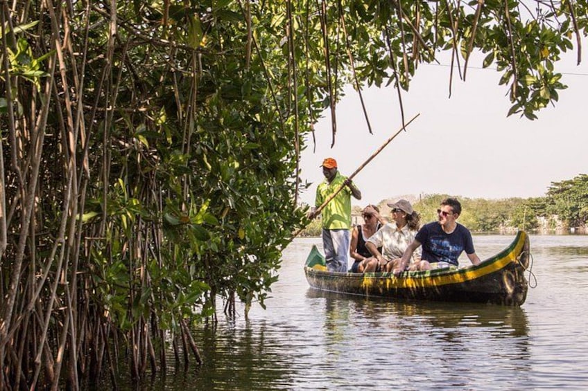 A group of people in a boat on a river surrounded by dense mangrove trees. 5
