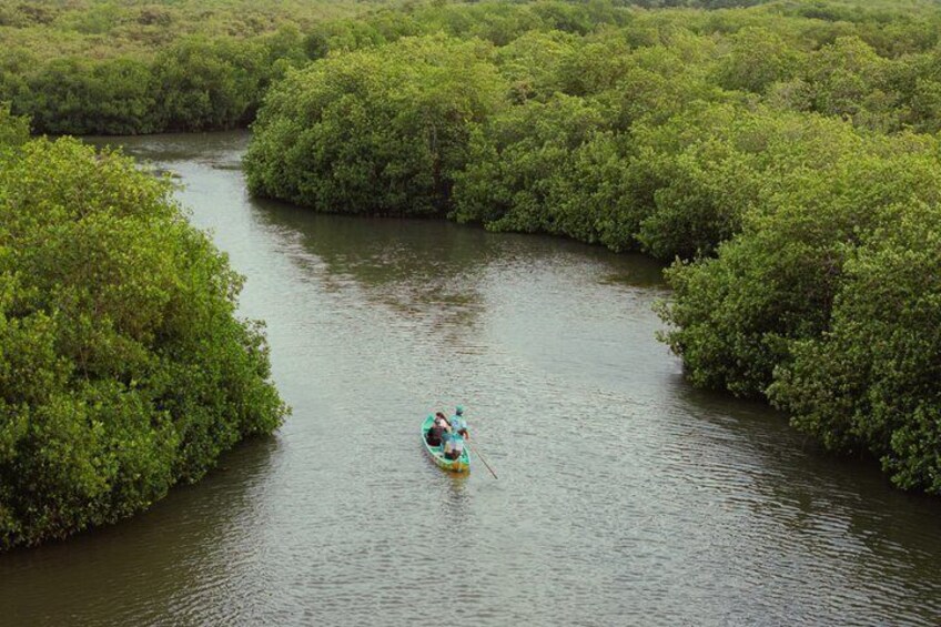Explore La Boquilla’s Mangrove Tunnels with Local Fishermen 3