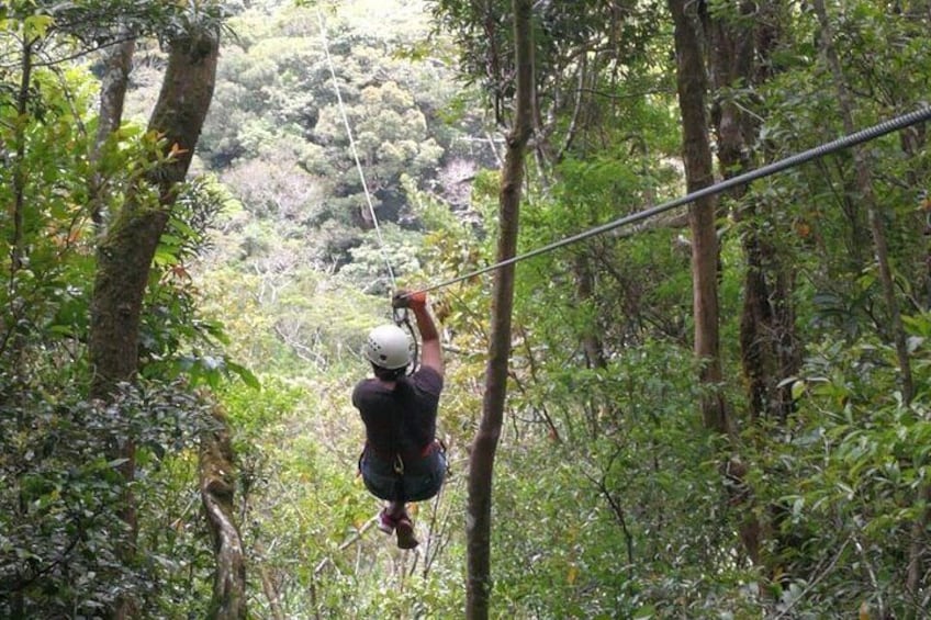 The Original Canopy Tour Monteverde, Zipline 3