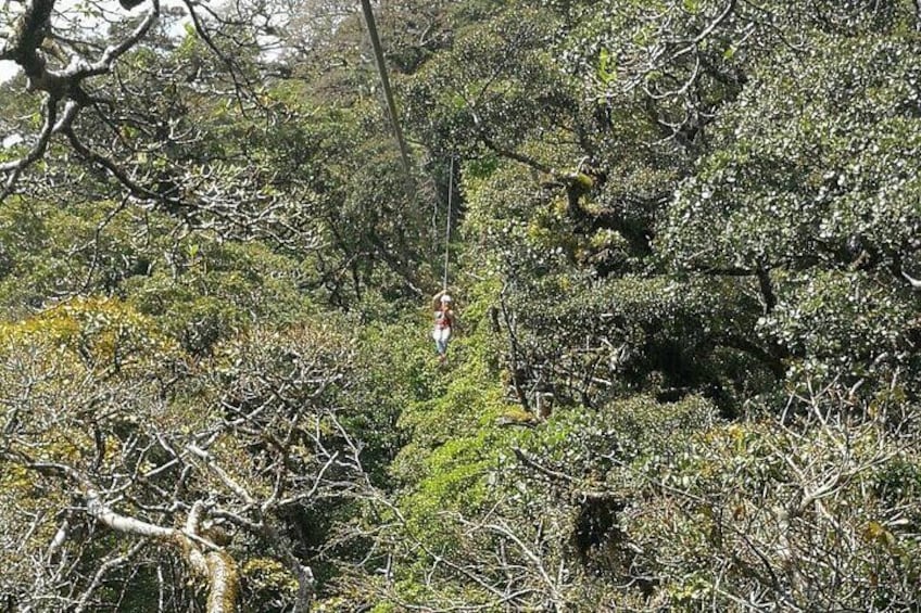 The Original Canopy Tour Monteverde, Zipline 2