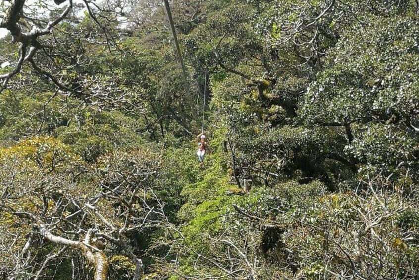 The Original Canopy Tour Monteverde