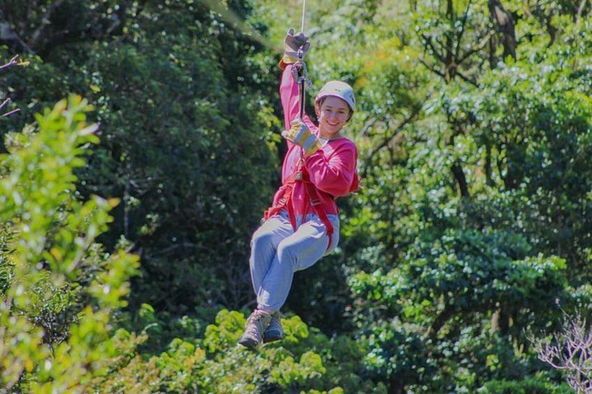 En person åker på en zipline genom ett skogsområde. 2