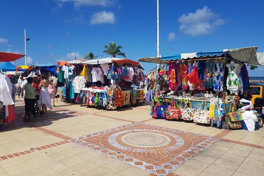 St.Maarten / St.Martin Private Tour 4