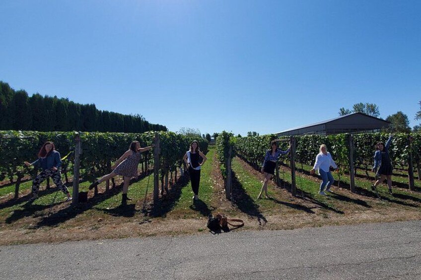 You can get right up close to the grapes that make the wine you drink. Wine Tours are amazing! 2