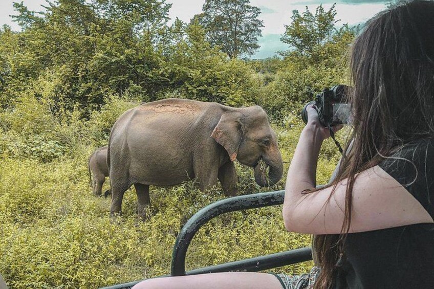 Half Day Udawalawe Safari from Kalutara (Entrance + Lunch) 4