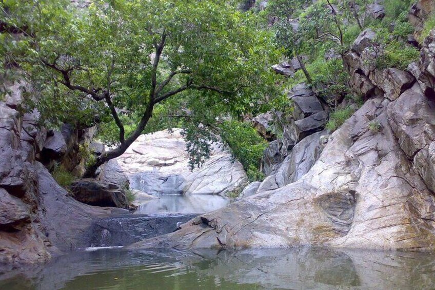 Delhi to Sariska National Park: A Thrilling Wildlife Excursion 3