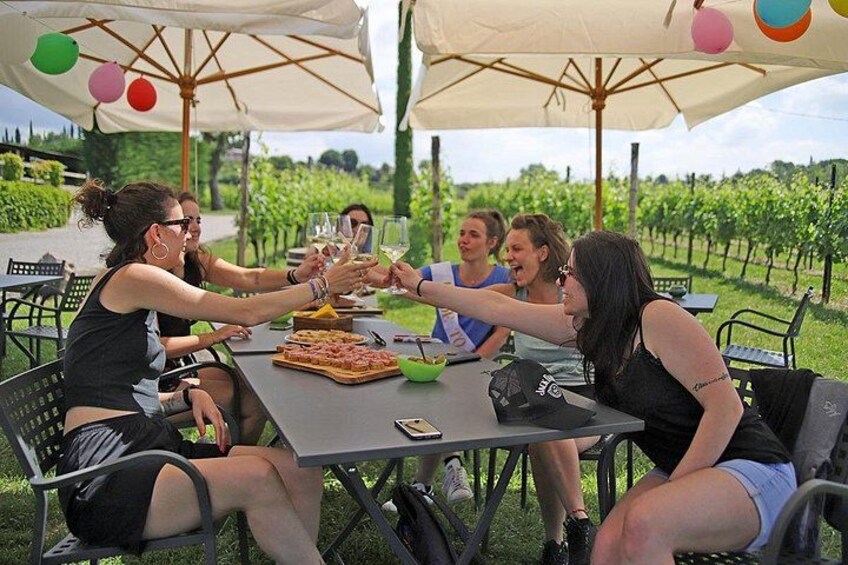 Een groep mensen proostend aan een tafel met pizza en drankjes, buiten, met groen in de achtergrond. 3