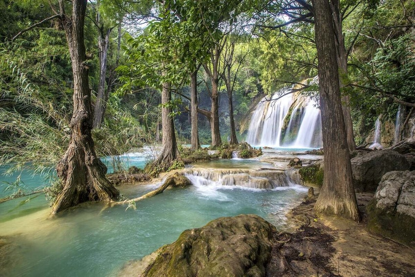 A waterfall cascading through a forested area with clear water and moss-covered rocks. 1