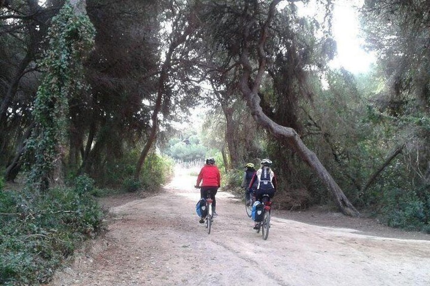 Deux cyclistes sur un chemin de terre, entourés d’arbres. 3