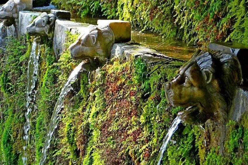 Menites Springs & Cave Foros - Half Day Tour 5