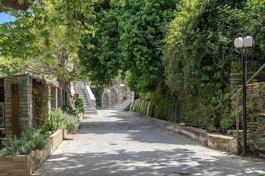 Menites Springs & Cave Foros - Half Day Tour 4