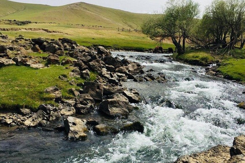 Un río con rocas y un paisaje cubierto de hierba. 3