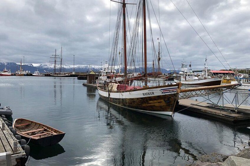 Husavik harbour and bay 2
