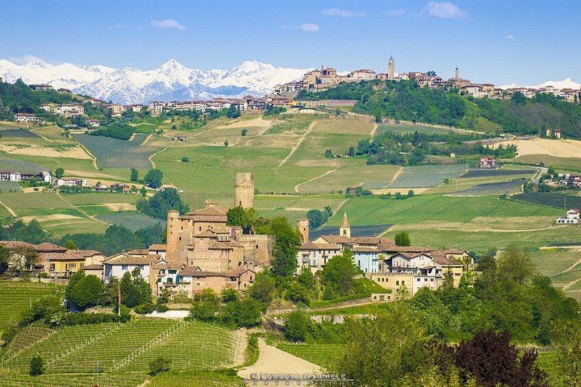 Barolo & Barbaresco Wine Tour with a Winemaker 3