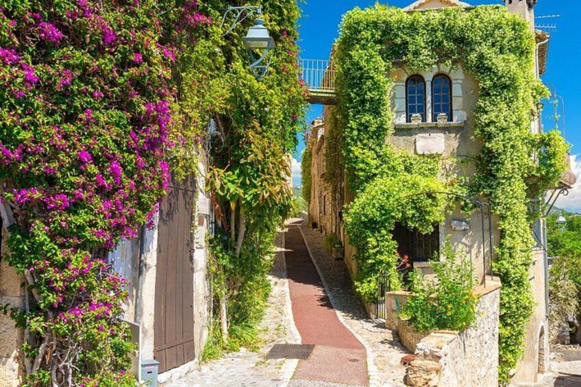 A narrow cobblestone street flanked by buildings covered in lush green vines and vibrant pink bougainvillea flowers. 3
