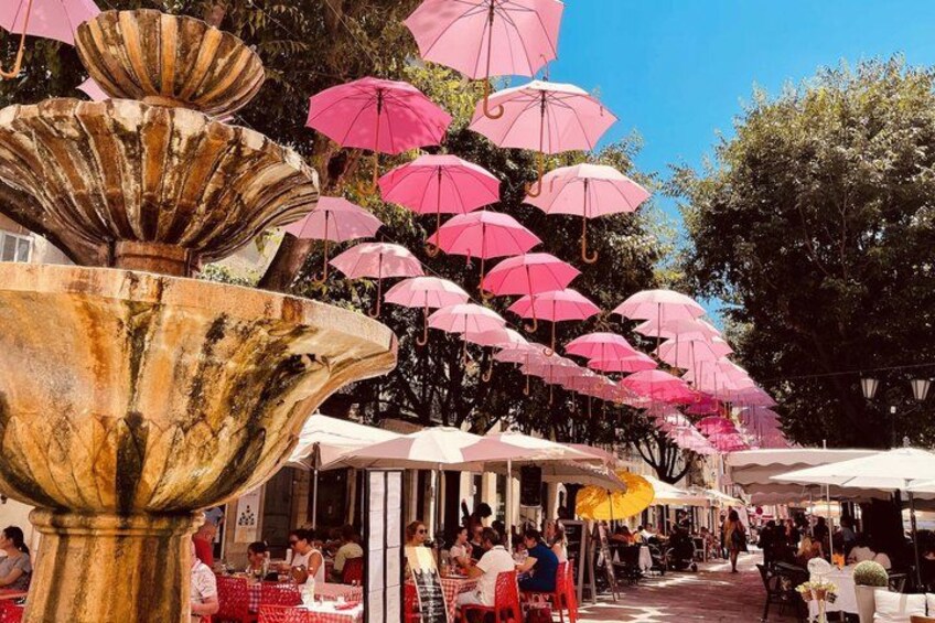 French Riviera & Medieval villages Full Day Private Tour 2
