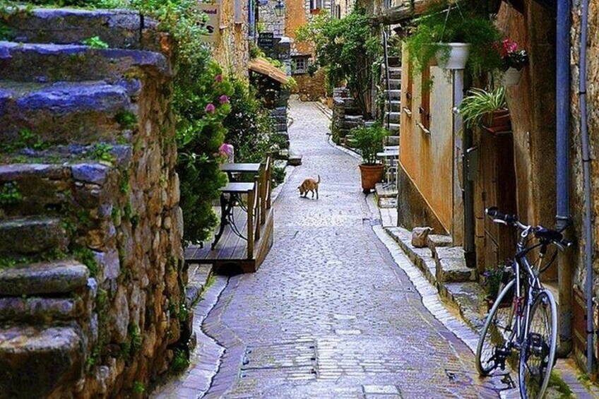 French Riviera & Medieval villages Full Day Private Tour 4