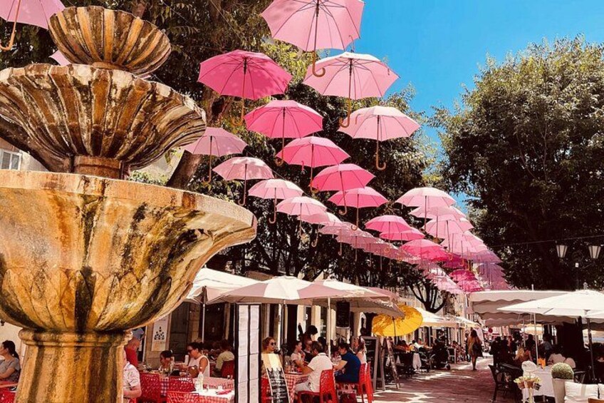 French Riviera & Medieval villages Full Day Private Tour 2