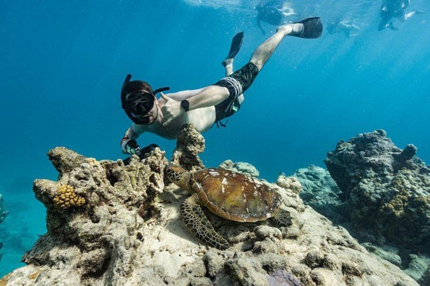 Ariki Adventures: Premium Sea Scooter Turtle Adventure 2