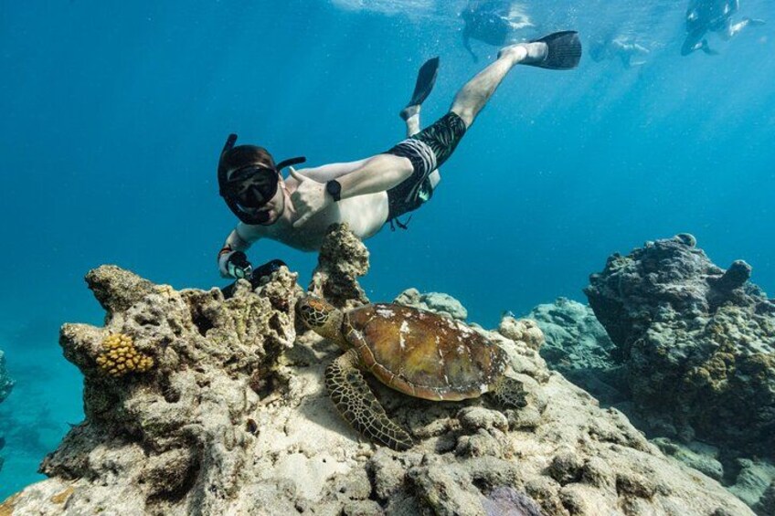 Ariki Adventures: Premium Sea Scooter Turtle Adventure 2