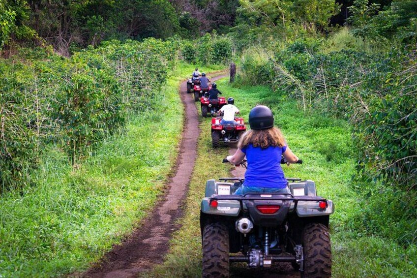 Polynesian Cultural ATV Tour in Kona 3