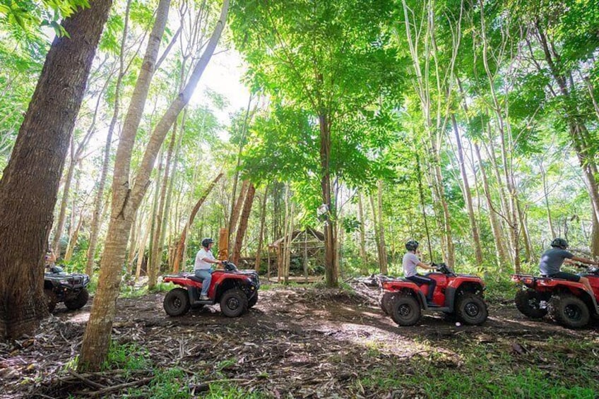 Polynesian Cultural ATV Tour in Kona 4