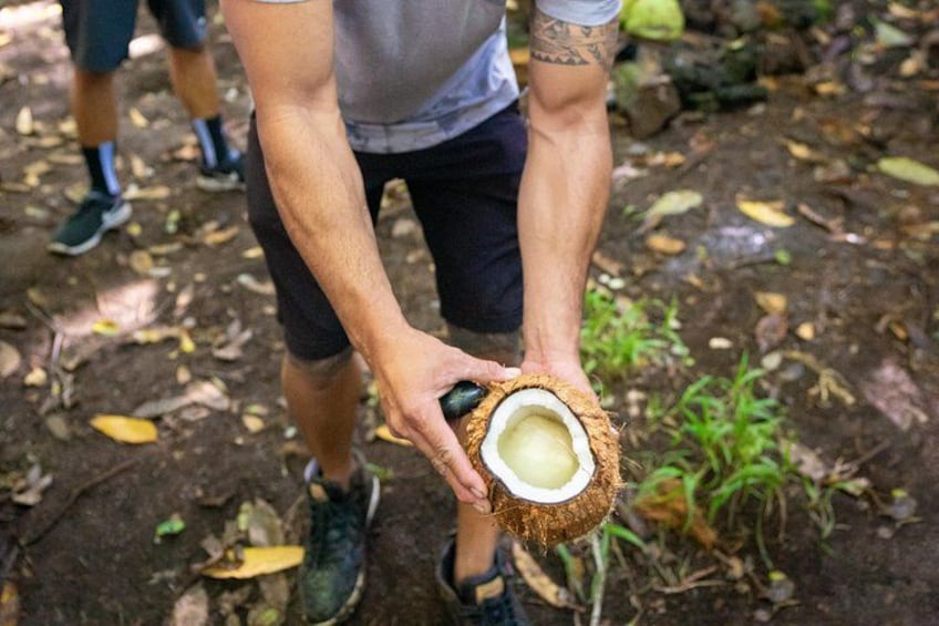 Polynesian Cultural ATV Tour in Kona 5
