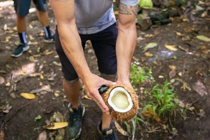 Polynesian Cultural ATV Tour in Kona 5