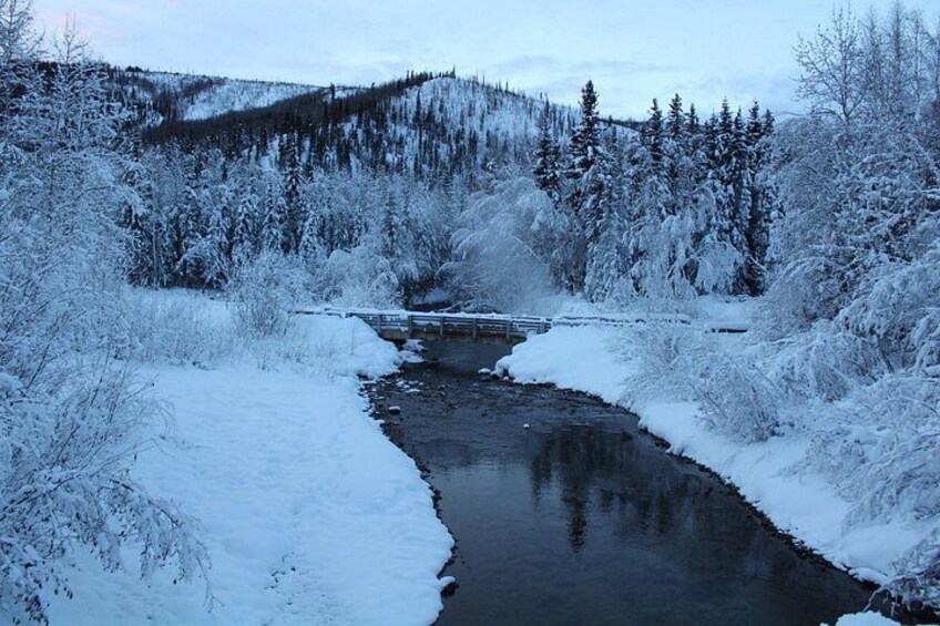 A snow-covered river with dense forest on both sides. 4