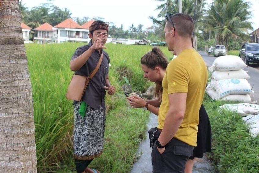 Balinese Ubud cooking school (9 Dish Cooking and Market Tour) 5